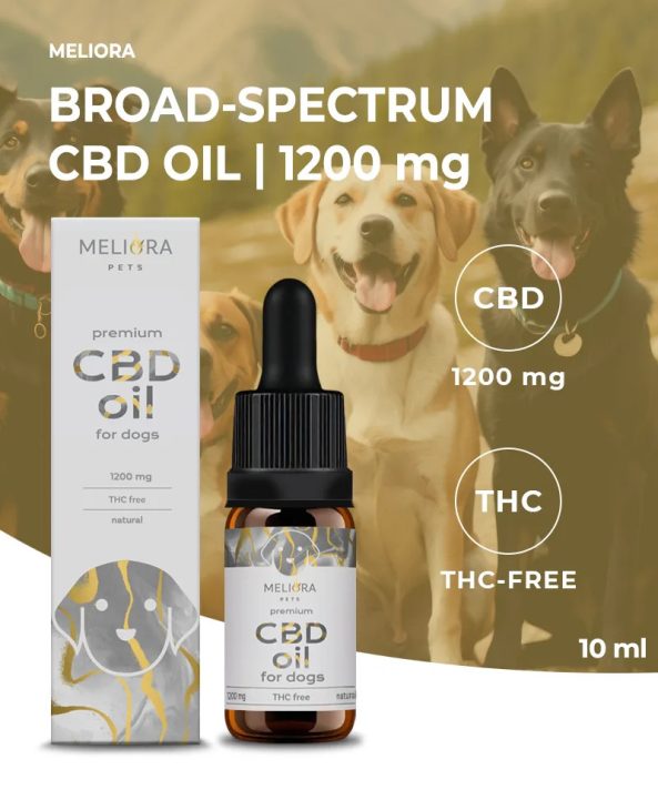 Meliora CBD olaj kutyáknak