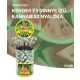 Cannabis Watermelon Kush Lollies – Display Container (100 Lollies)
