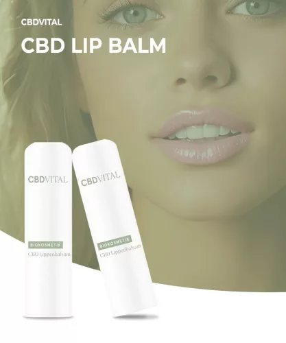 CBDVital Lippenbalsam CBD ajakbalzsam