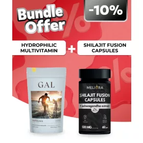   GAL Multivitamin – Hidrofil kapszulák, 90 adagos utántöltő + Meliora Shilajit Fusion kapszula - 60 db