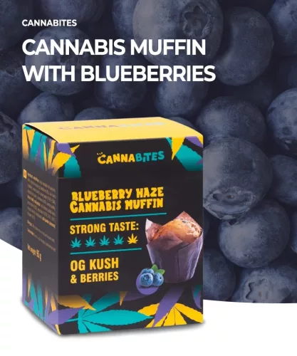 CannaBites Blueberry Haze Cannabis Muffin