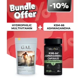   GAL Multivitamin – Hidrofil kapszulák, 90 adagos utántöltő + Meliora KSM-66® Ashwagandha kapszula - 60 db