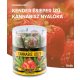 Cannabis Strawberry Haze Lollies – Gift Box (10 Lollies)