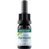 MEDIHEMP Hanf Complete 18%, 1800 mg, 10 ml