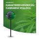 White Widow Kannabisz nyalóka