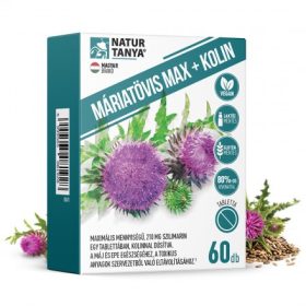 Natur Tanya® Máriatövis Max + Kolin 60 db