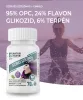 Natur Tanya® Szerves Szőlőmag és Ginkgo Biloba 70 db