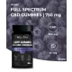 Meliora CBD Gumicukor Sleep Gummies 30 db | Áfonya