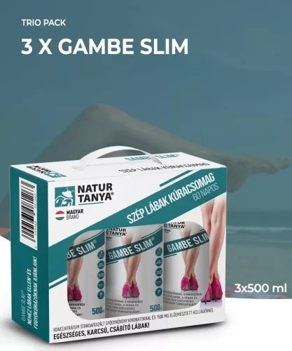 Natur Tanya® 60 napos Gambe Slim® 3 x 500 ml