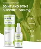 Reakiro Forte Bone & Joint Support CBD olaj | 500 mg