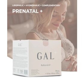 GAL+ Babaváró