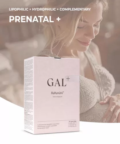GAL+ Babaváró