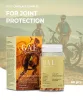 GAL UC-II® Porc-komplex