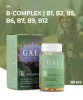 GAL B-komplex