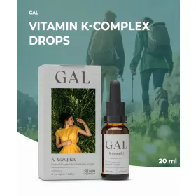 GAL K-komplex