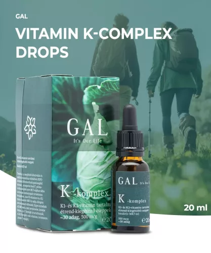 GAL K-komplex