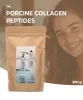 GAL Sertéskollagén Peptidek 