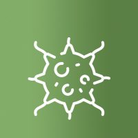 Daganatos megbetegedések