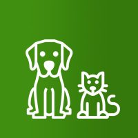 CBD olaj állatoknak