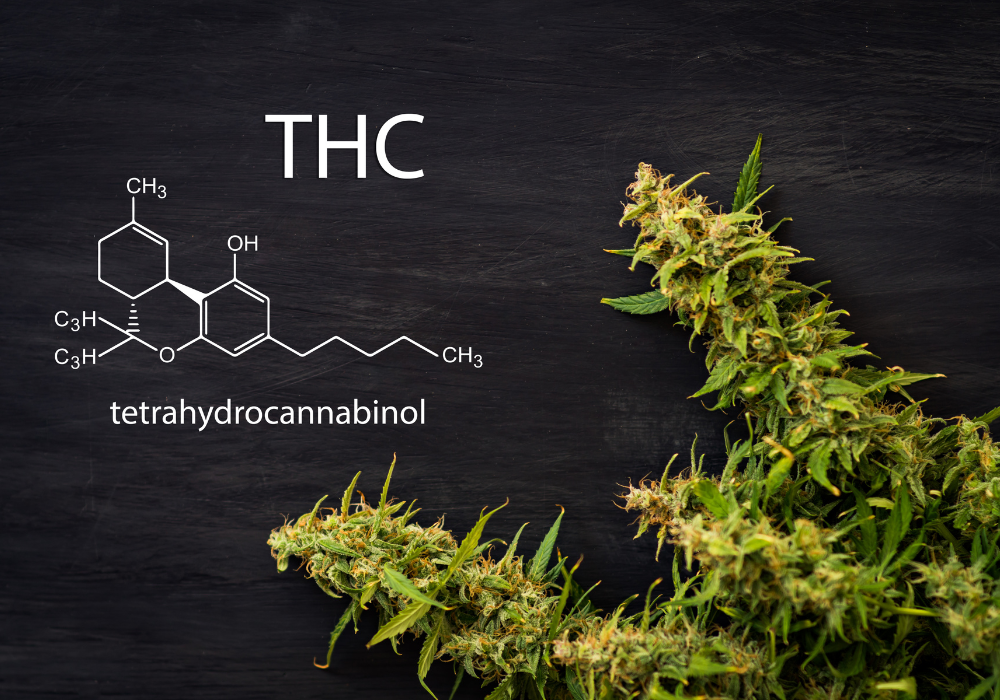 THC - a kannabisz hatóanyagáról részletesen