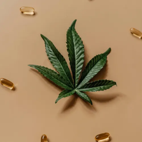 CBD ikon