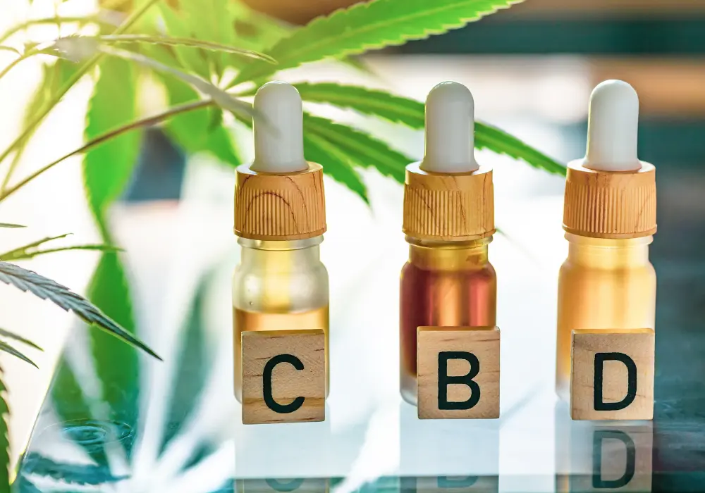 Kinek nem ajánlott a CBD olaj? Ilyenkor ne használd!