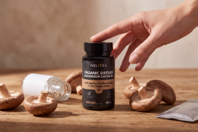 Melyik a legjobb Shiitake gomba?
