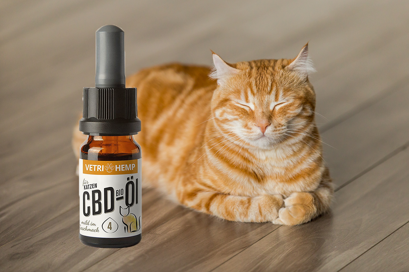 CBD olaj macskáknak - Adagolás, Tudnivalók