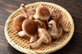 Shiitake gomba adagolása: Ennyit érdemes szedned!